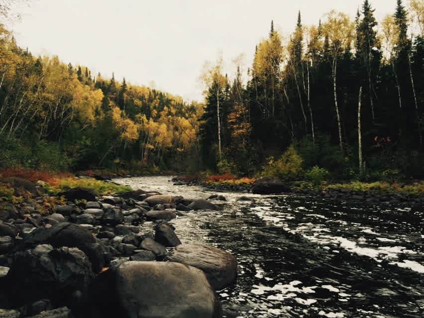 Grand Portage State Forest