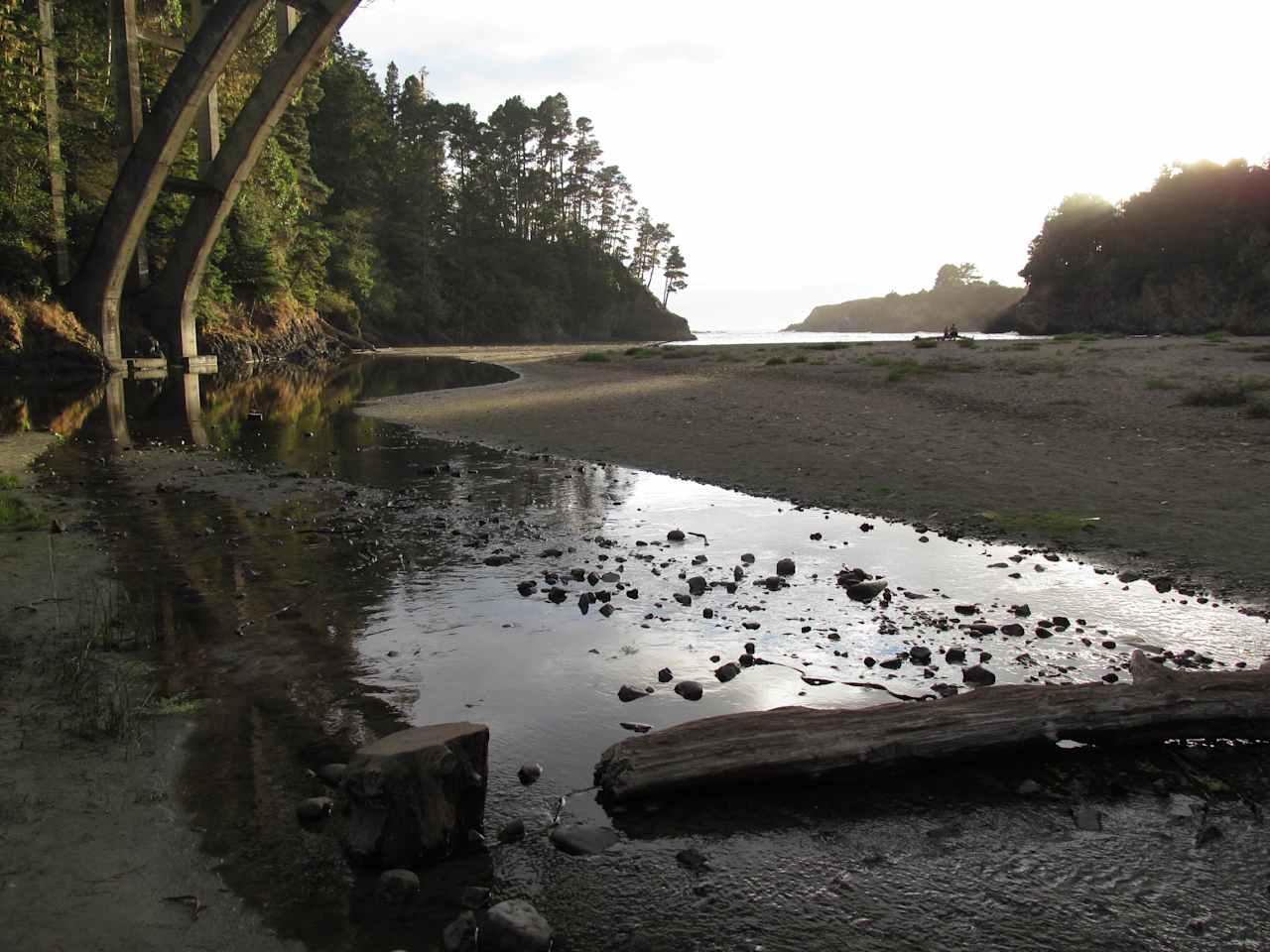 Russian Gulch State Park