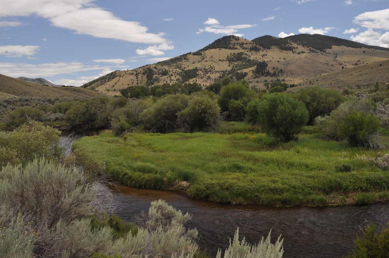 Vigilante Campground