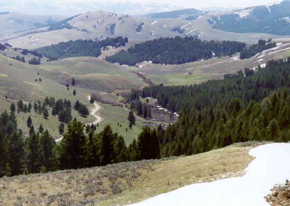 May Creek Cabin