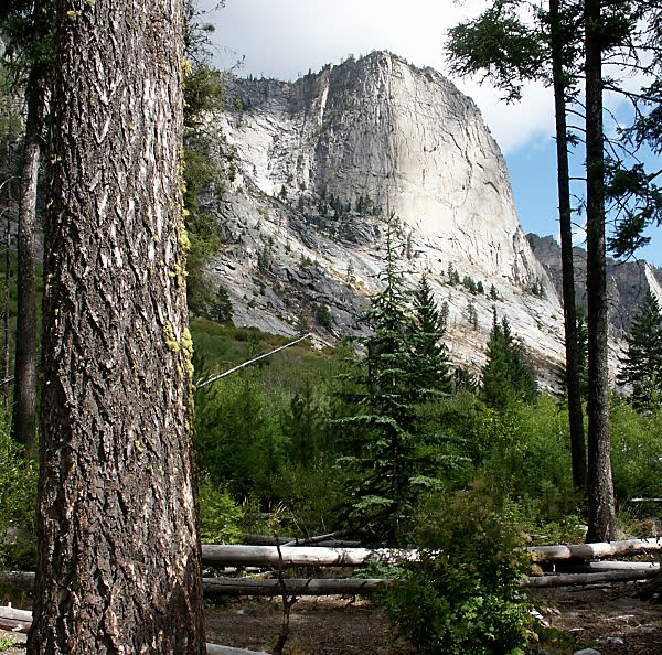 Blodgett Campground