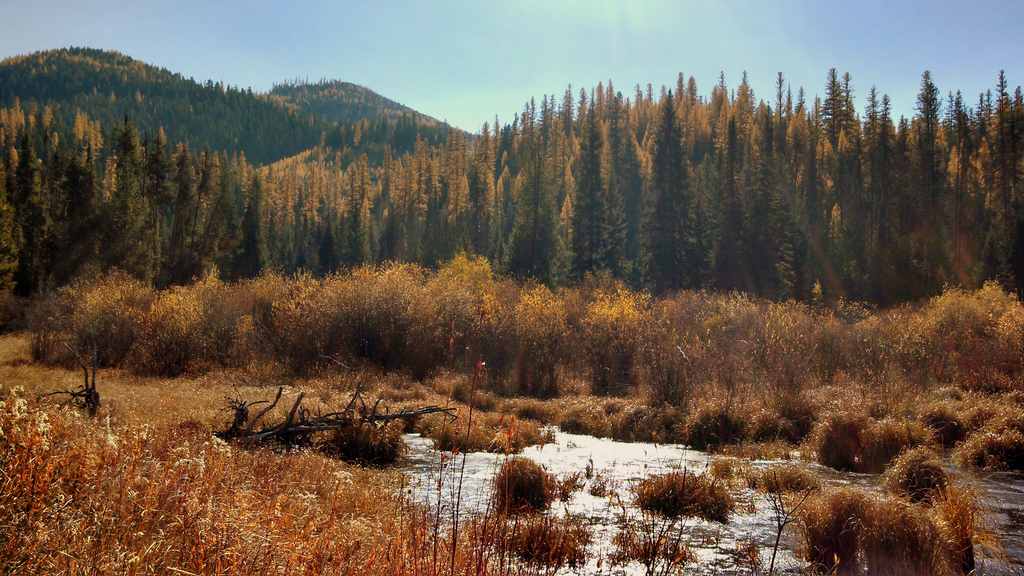 Seeley Lake Campground