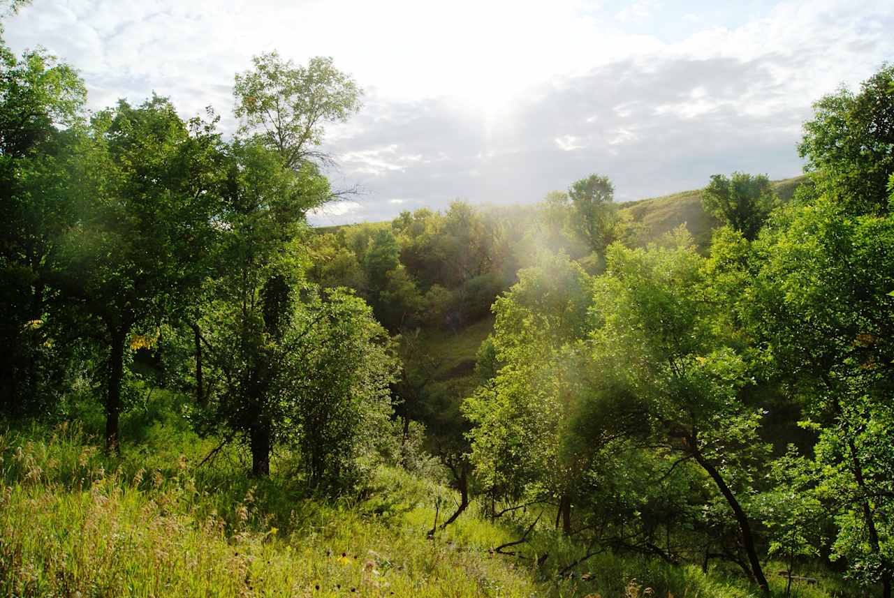 Mina Lake Recreation Area