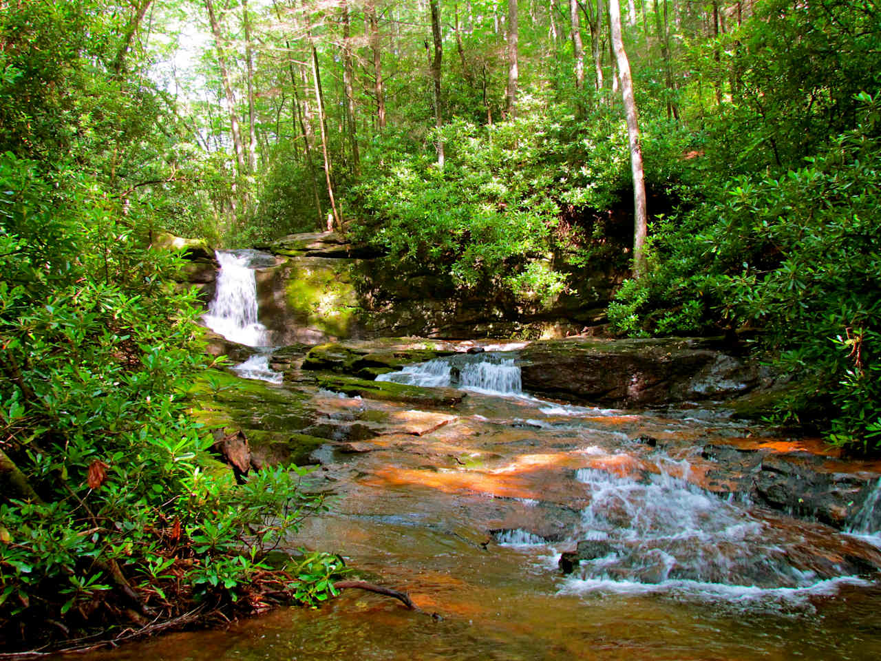 Chattahoochee-Oconee National Forest