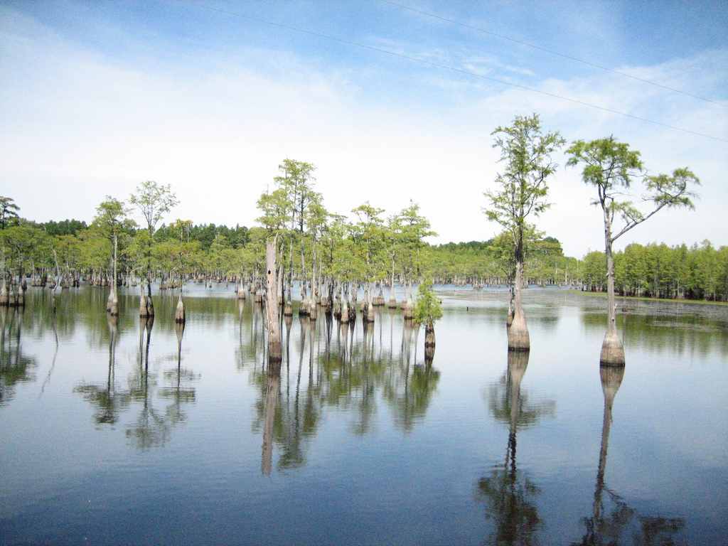 George L. Smith State Park