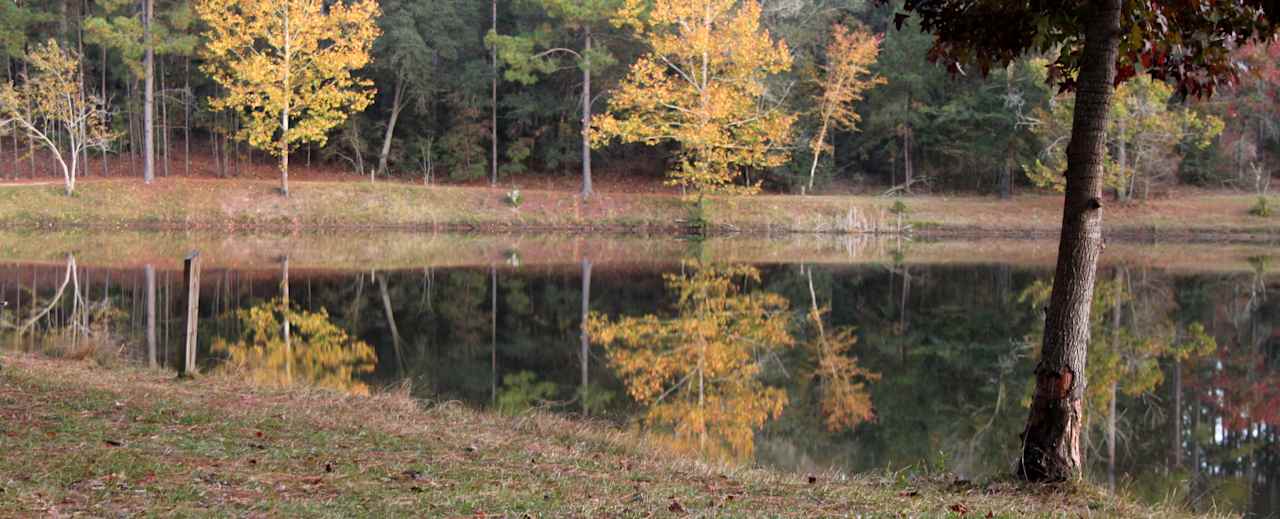 Laura S. Walker State Park