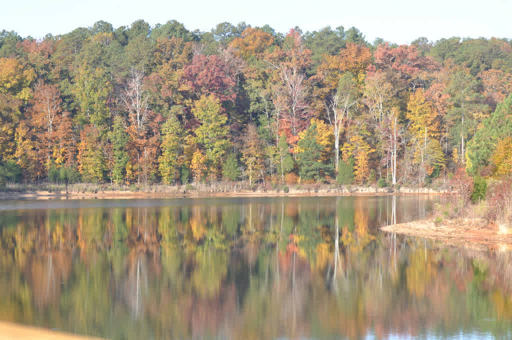 Richard B. Russell State Park