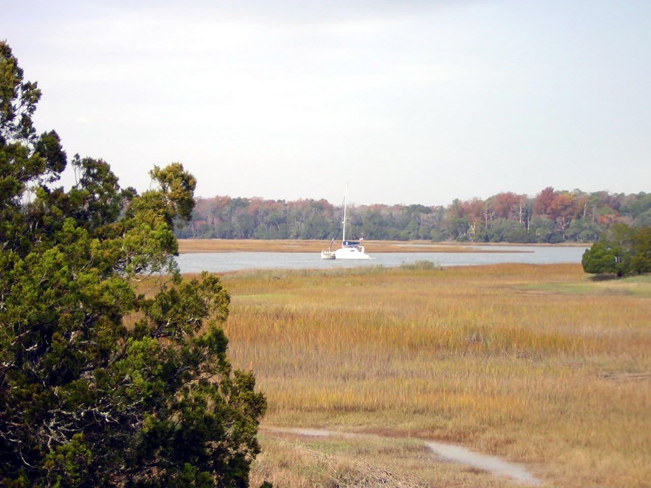 Skidaway Island State Park Campground