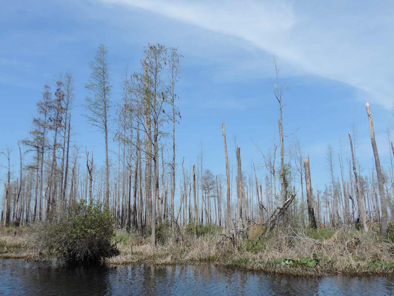 Stephen C. Foster State Park