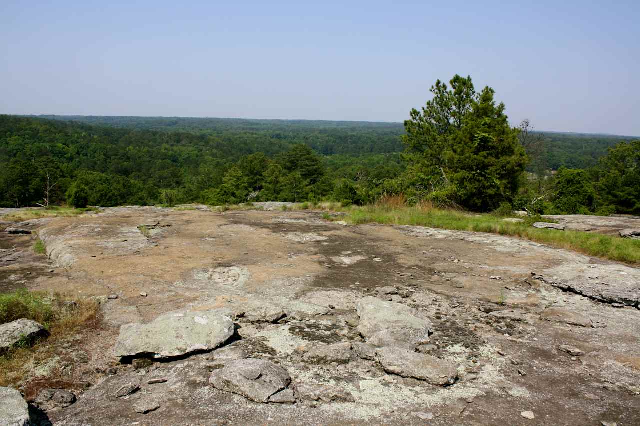 Panola Mountain State Park