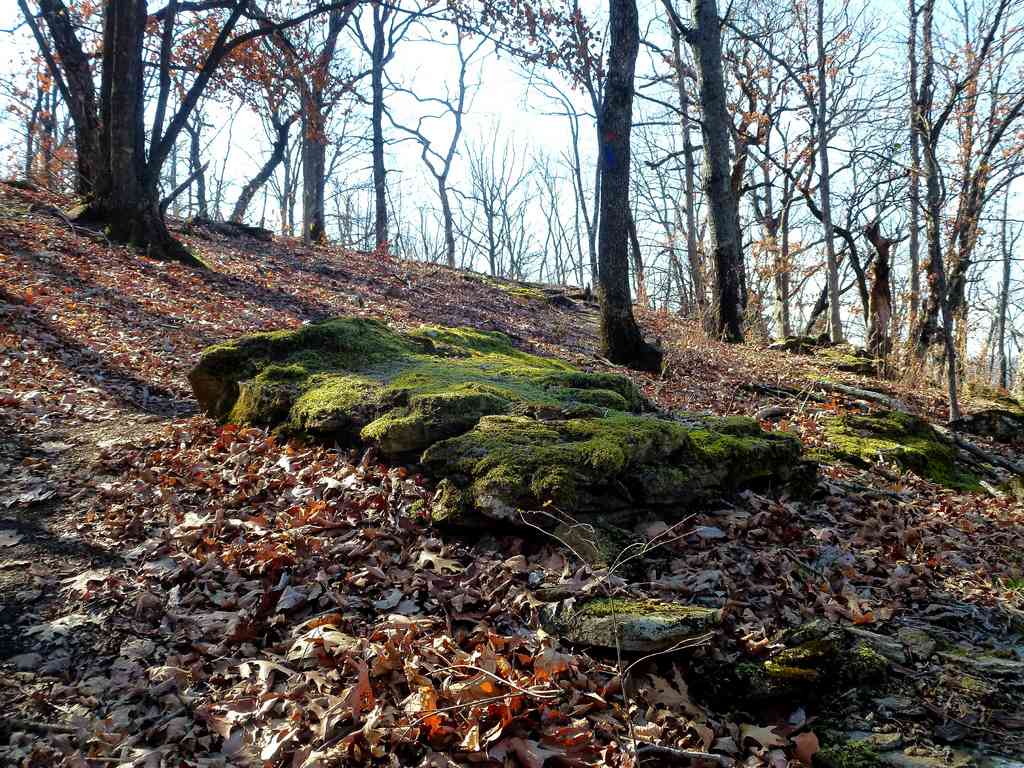 Greenleaf Lake State Park