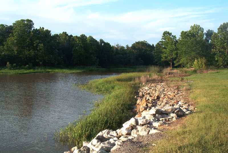 Sheppard Point Campground