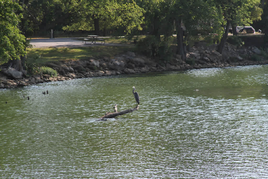 Outlet Campground