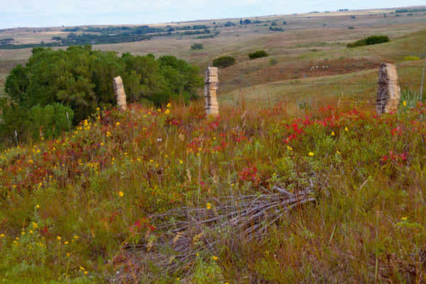 Lovegrass Campground