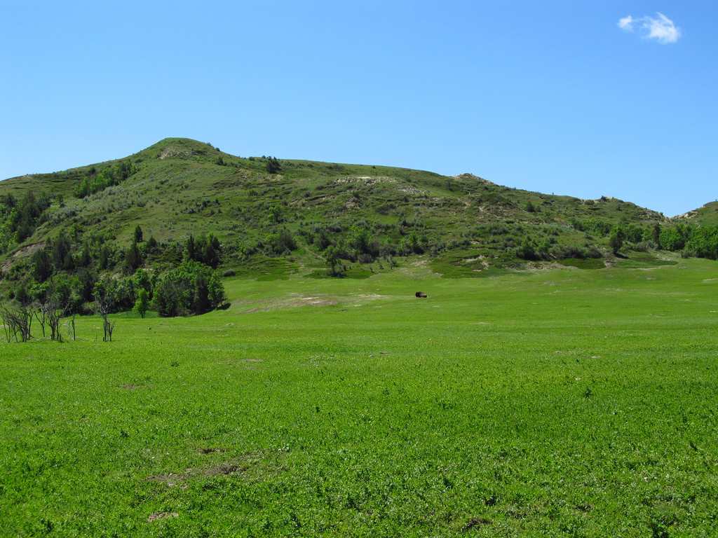 Theodore Roosevelt National Park