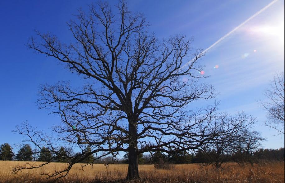 Pershing State Park