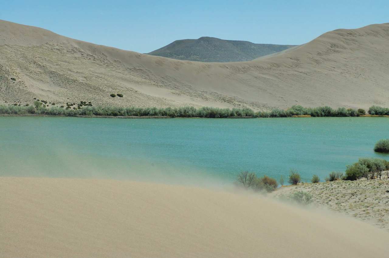 Bruneau Dunes Campground