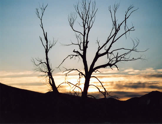 Curlew National Grassland