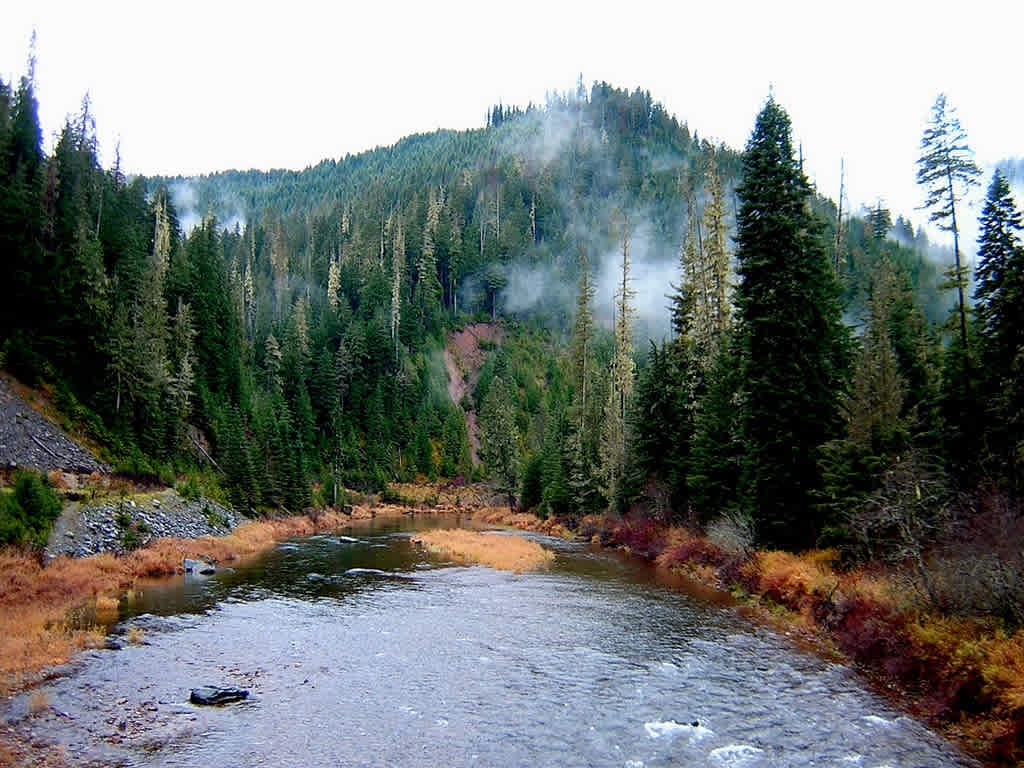 Coeur d'Alene River Campground and Picnic Areas