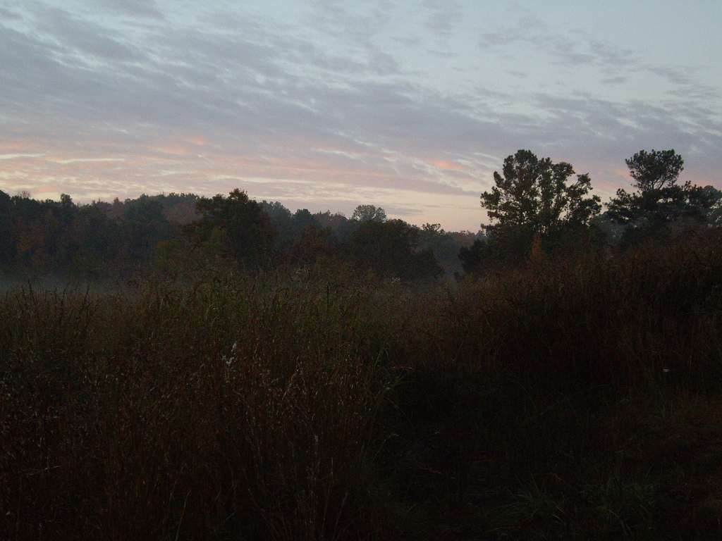 Coleman Lake Recreation Area