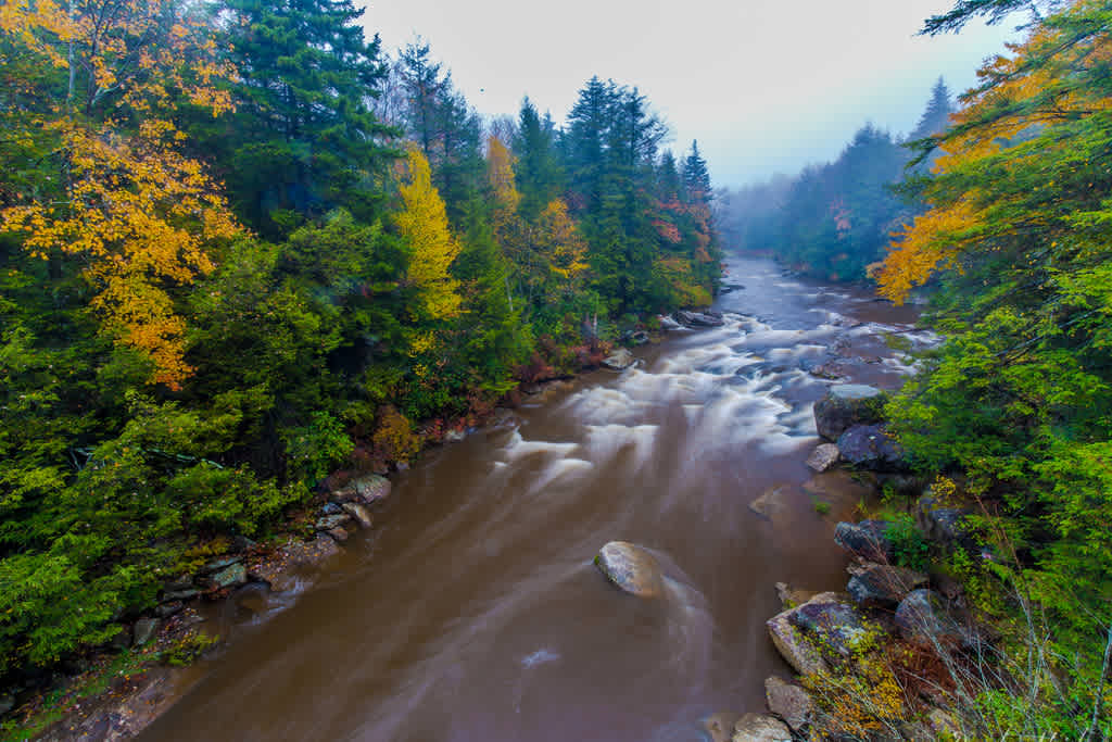 Blackwater Falls Campground