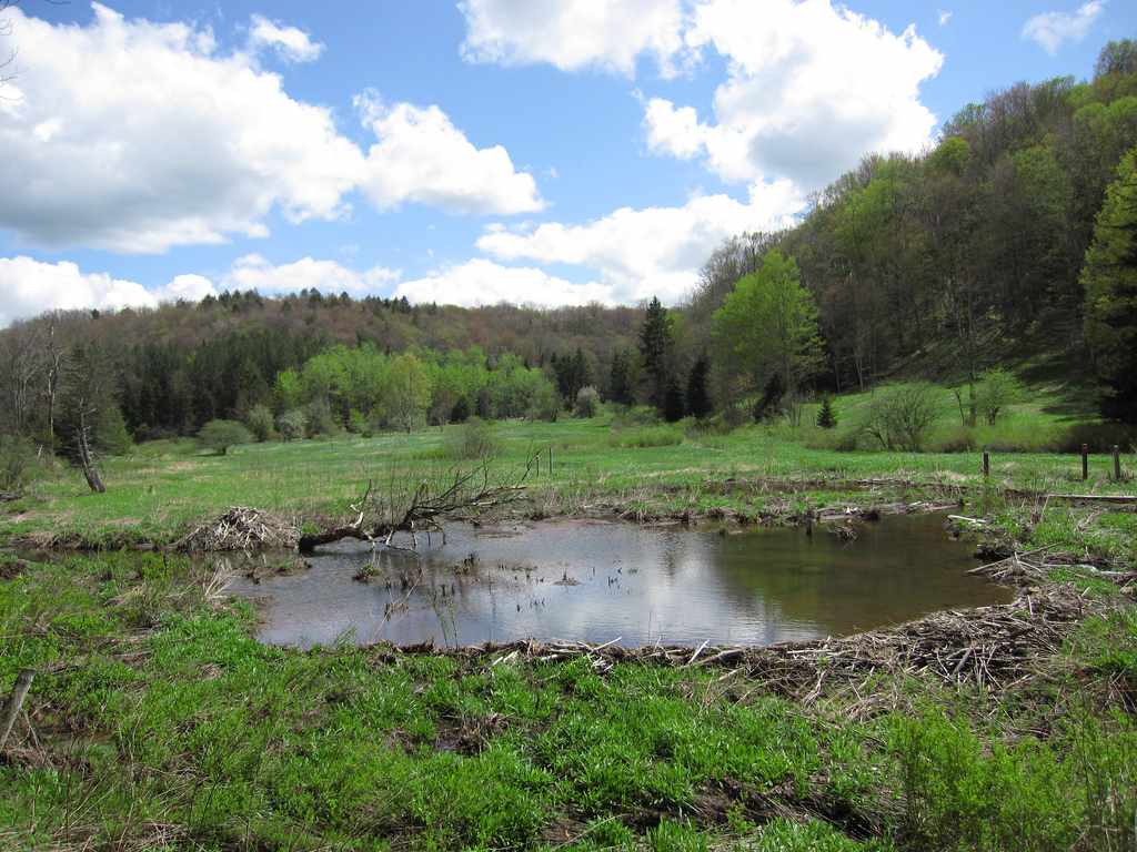 Blue Bend Recreation Area and Campground