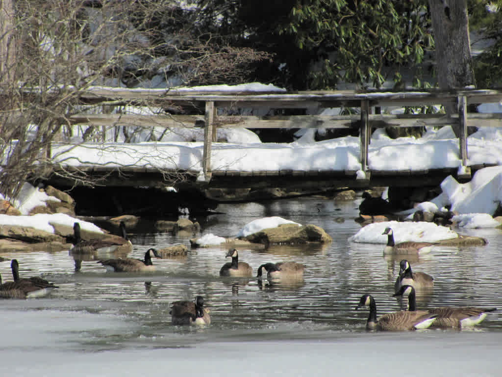 Little Beaver State Park