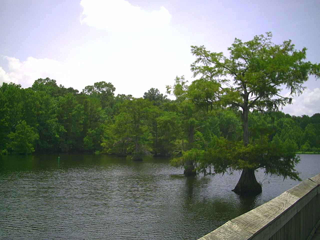 Chicot State Park