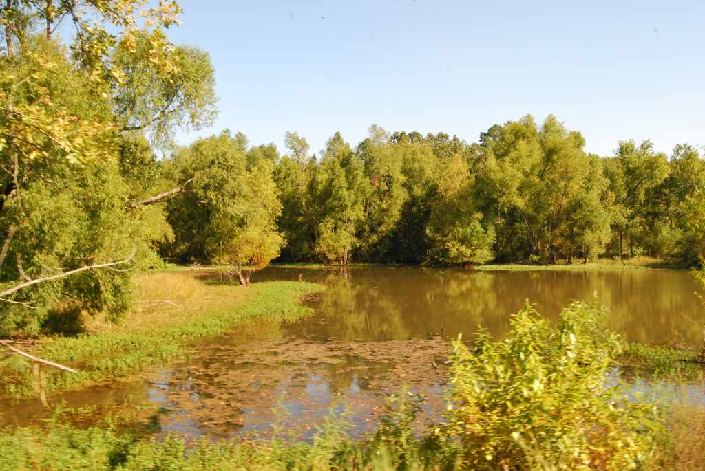 South Abutment East Recreation Area