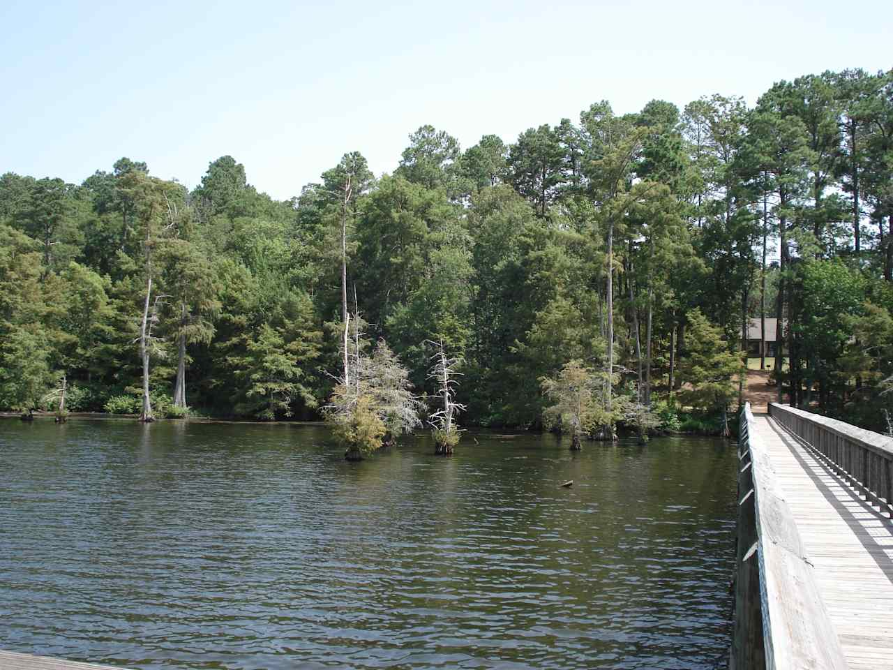 Lake D'Arbonne State Park