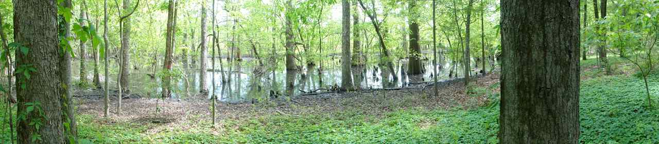 Palmetto Island State Park