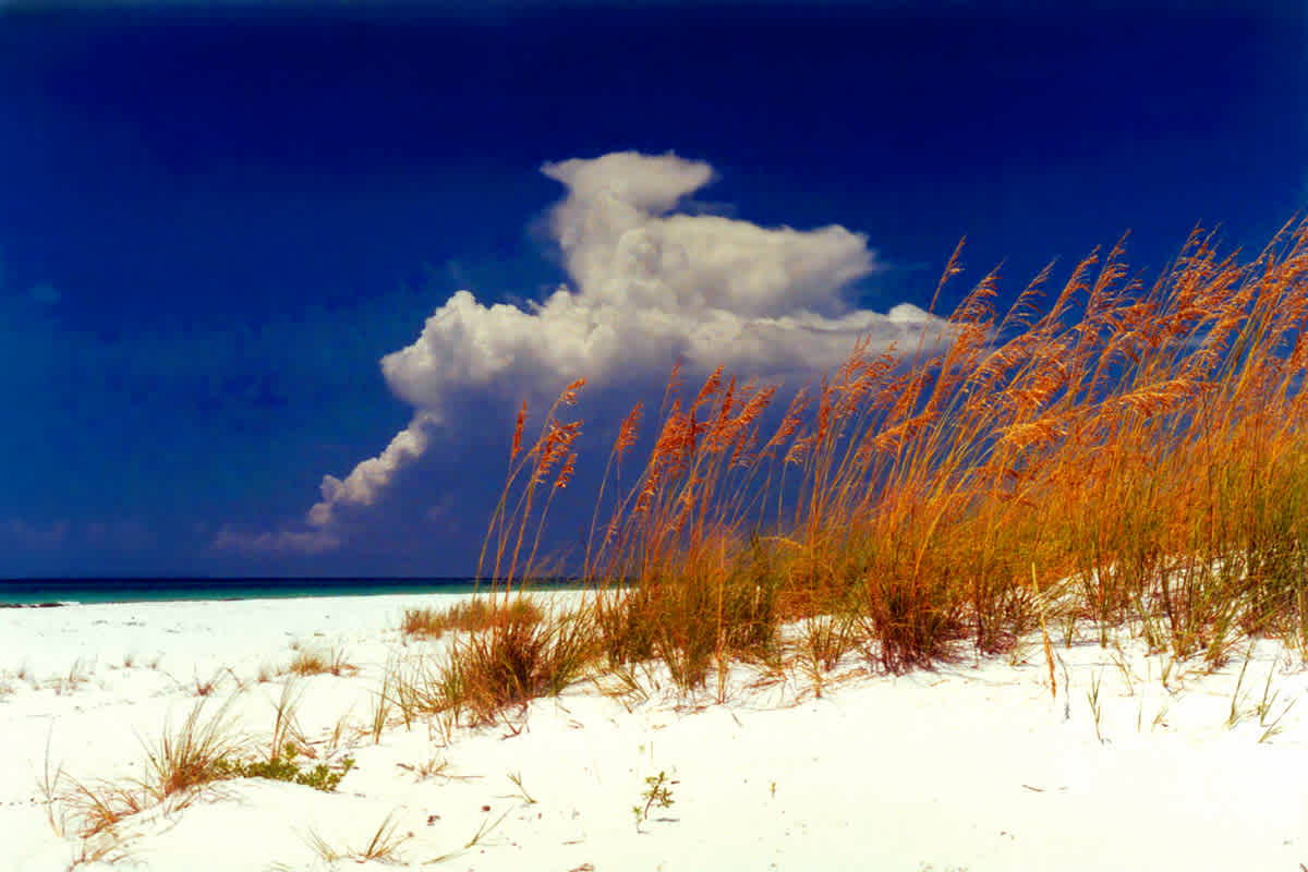 Gulf Islands National Seashore