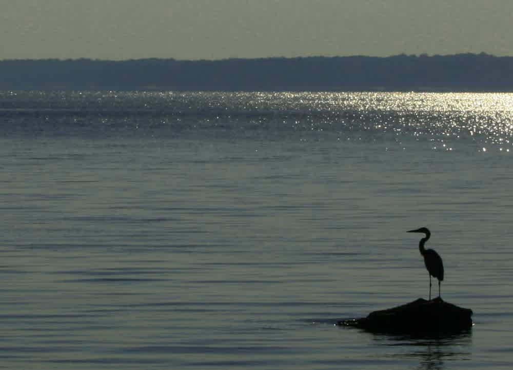 Beach Point Campground