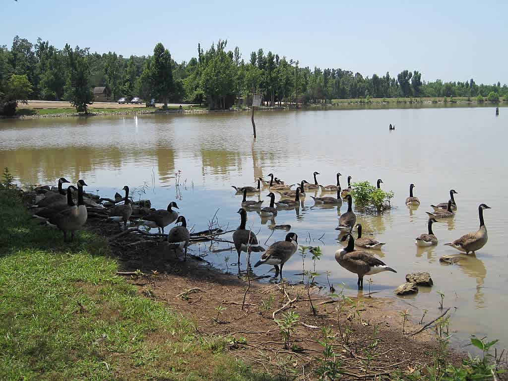 Lake Frierson State Park