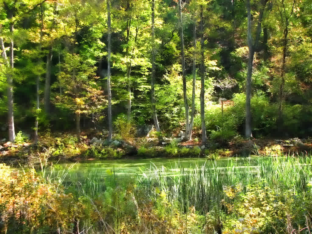 Mount Nebo State Park