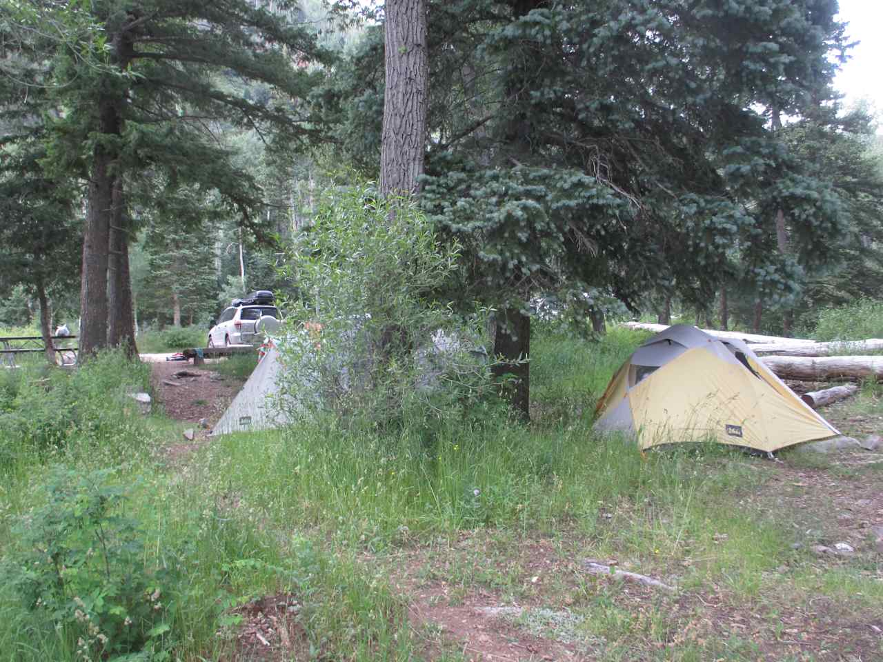 Campsite #4