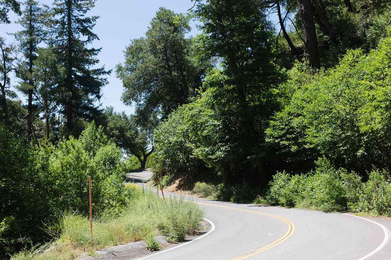 The road to the campground and past it to the general store at the top of the mountain is so pretty.