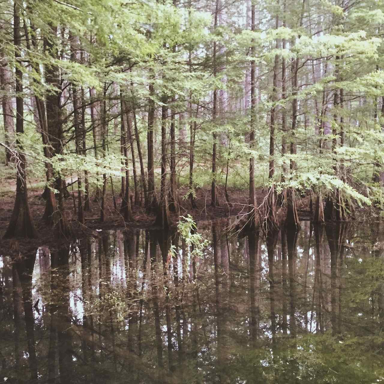 Stuart Lake Campground