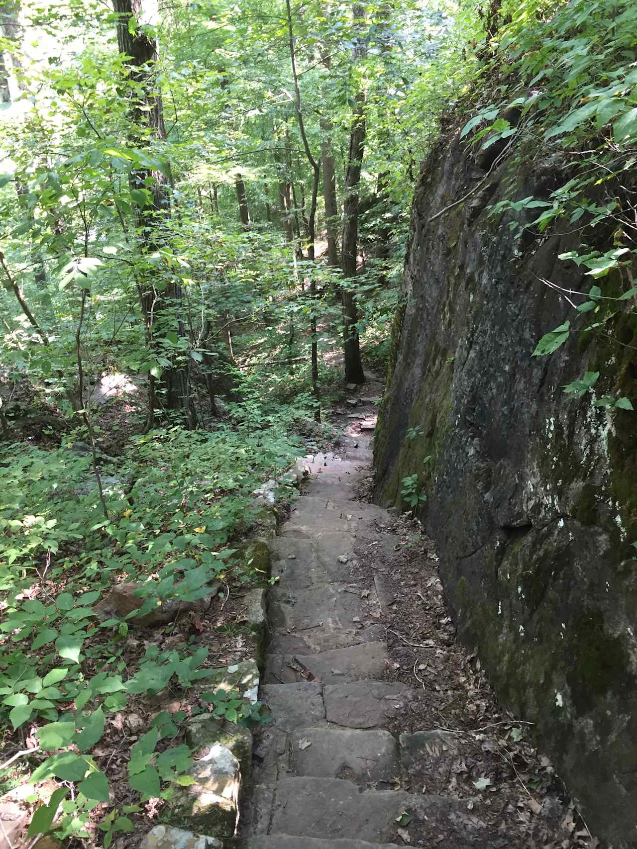 Bell Smith Springs Campground