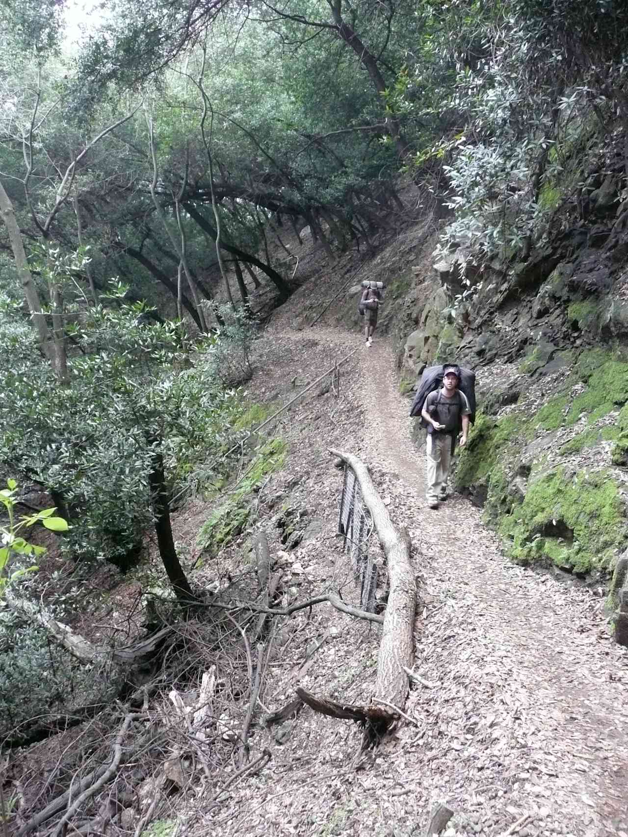 View from the upper winter creek trail. 