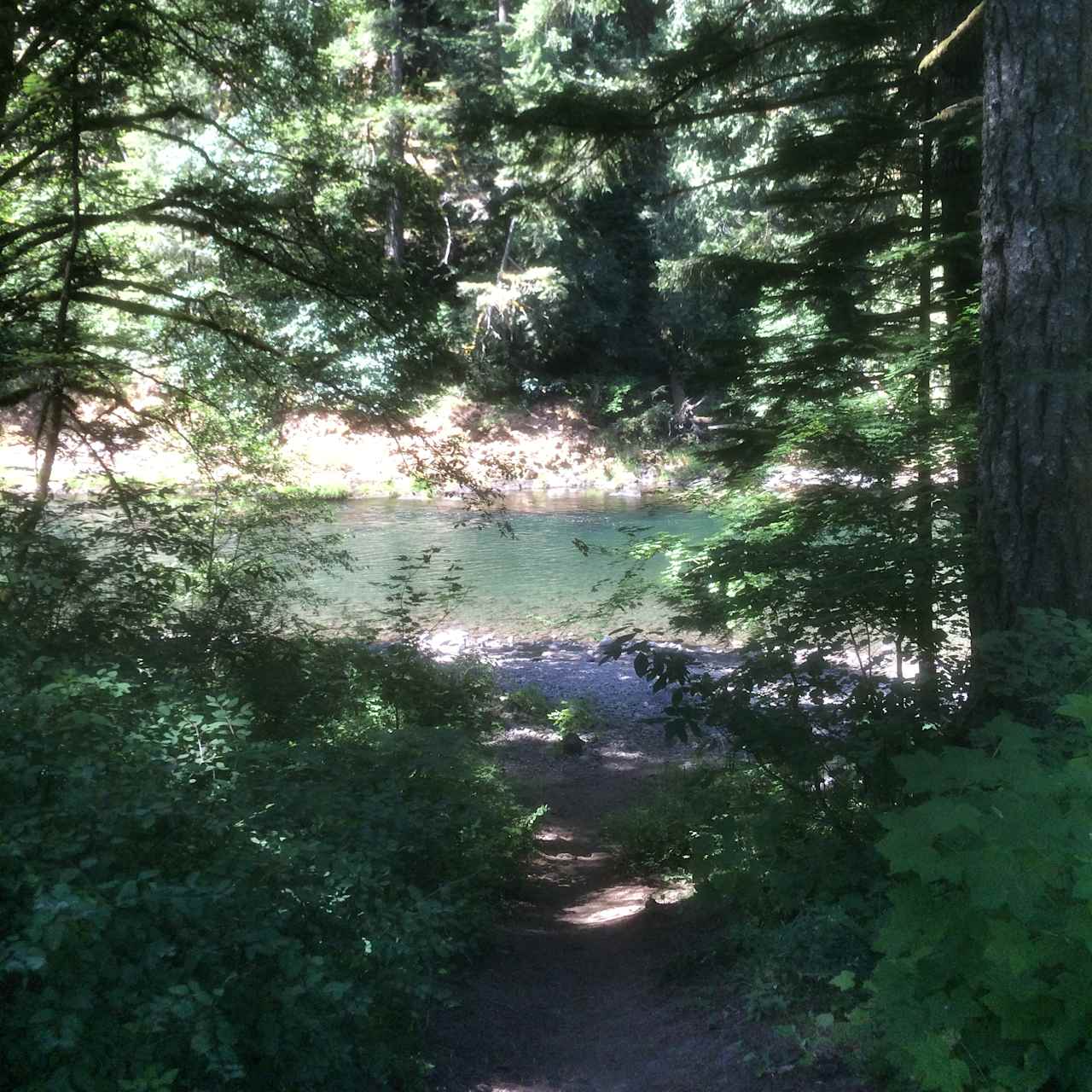 Path to the river from Site 5.