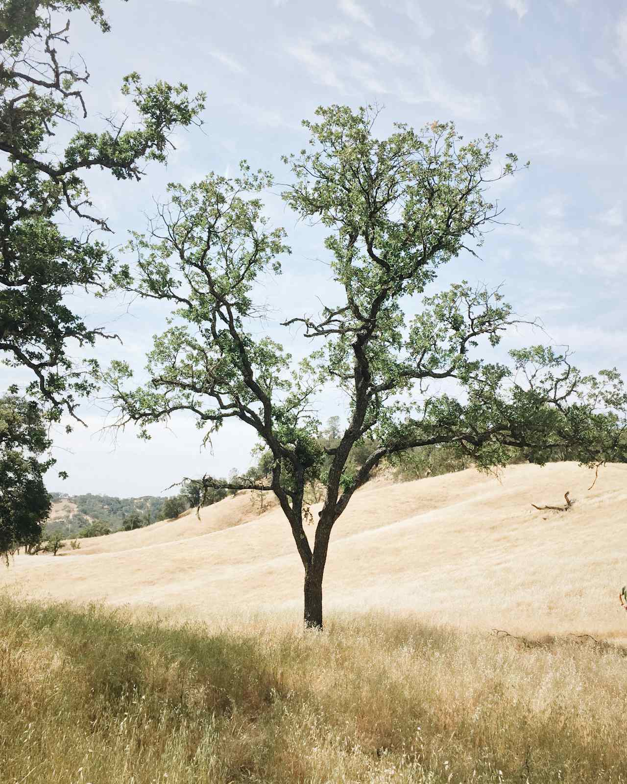 Santa Margarita Lake