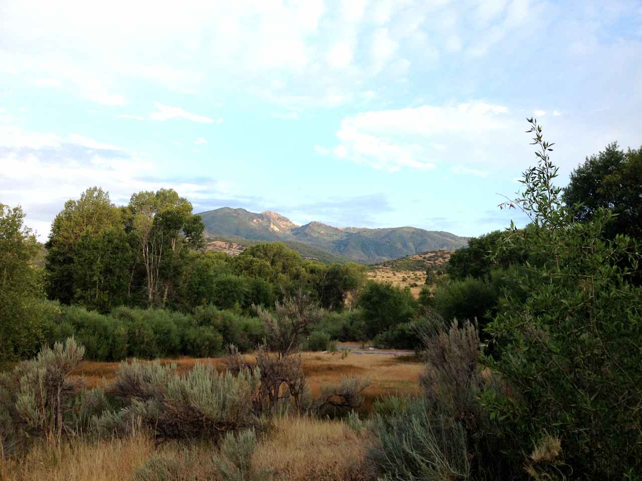 Early Morning, Diamond Campground