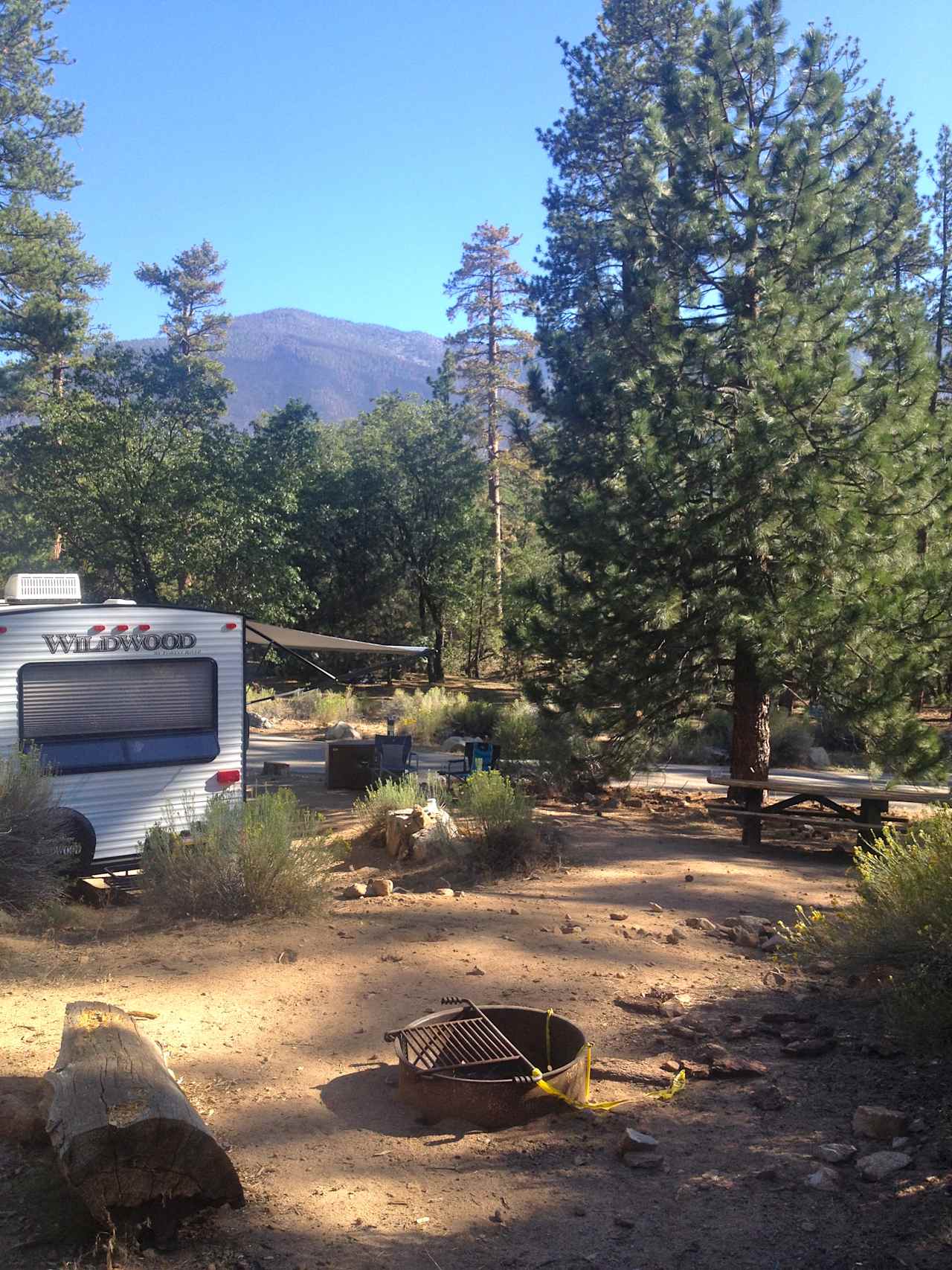 San Gorgonio Campground