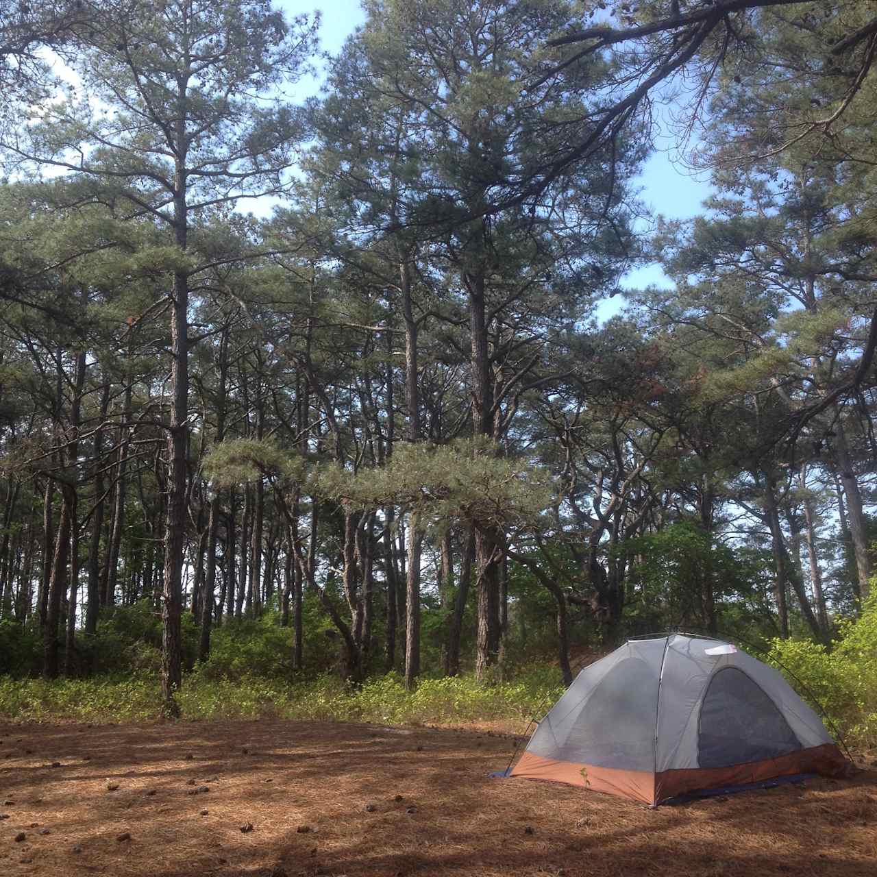 Assateague Island Backcountry Camping