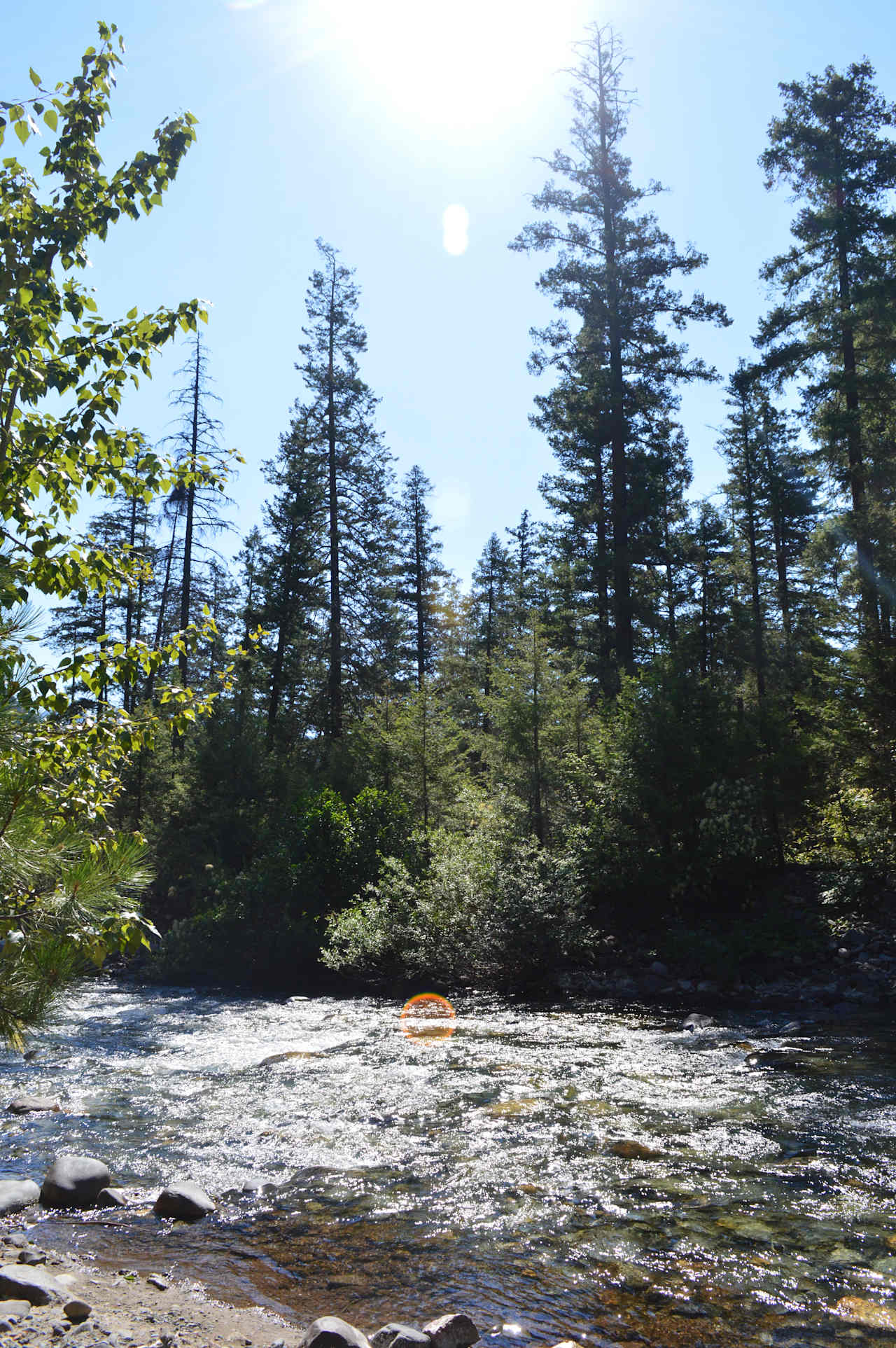 Methow river, 1/4 mile from campsite