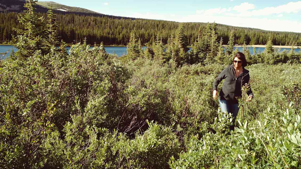 Exploring around Brainard Lake, a minute walk from Pawnee campground.