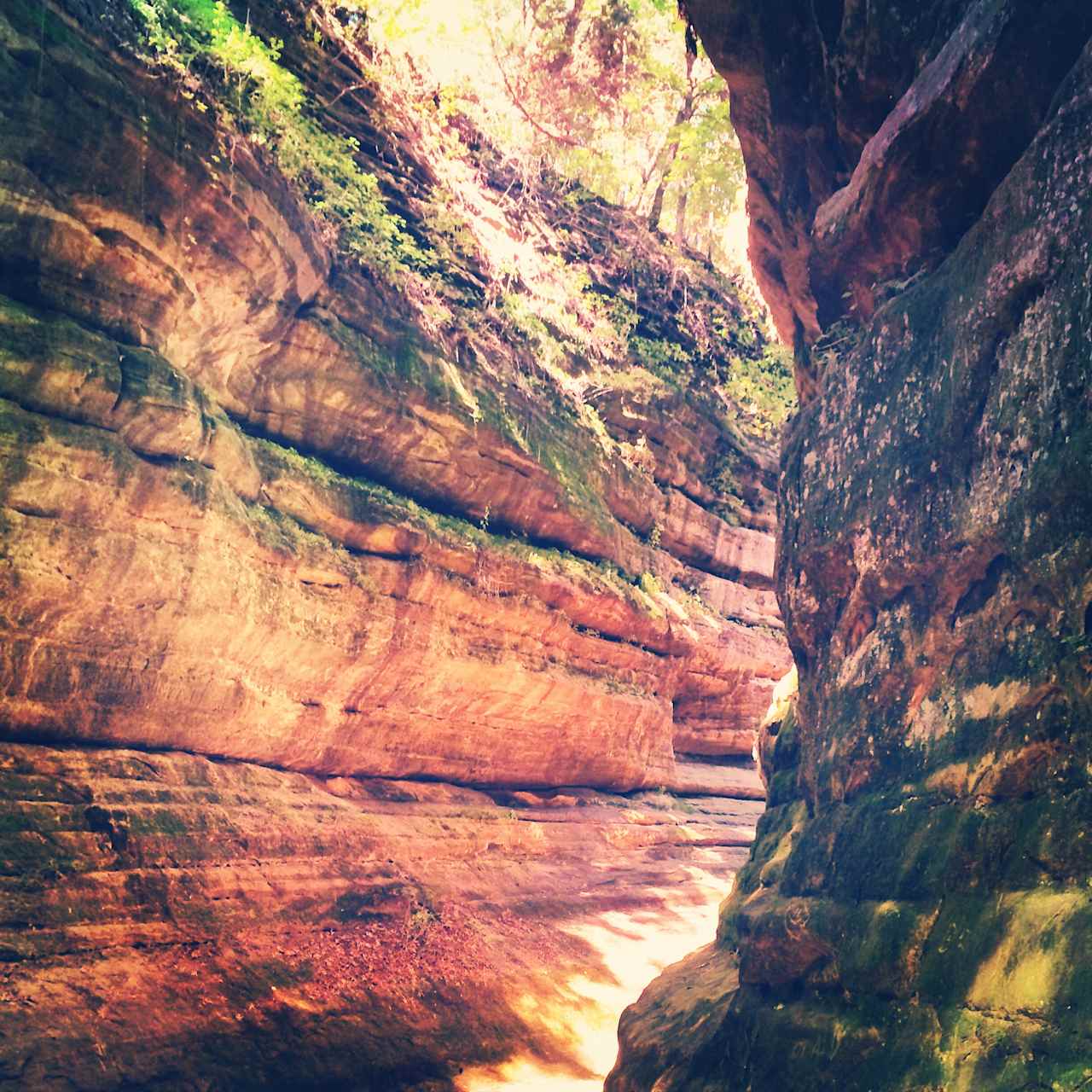 Starved Rock Campground