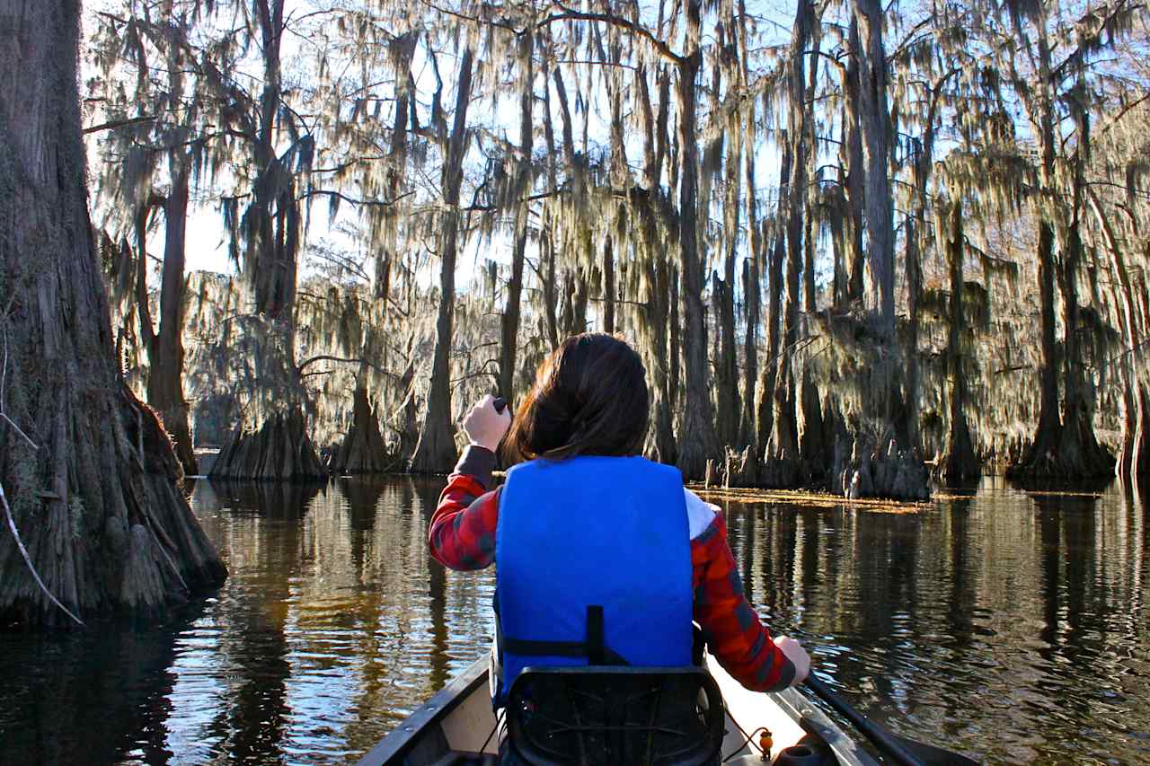 Caddo Lake Campground