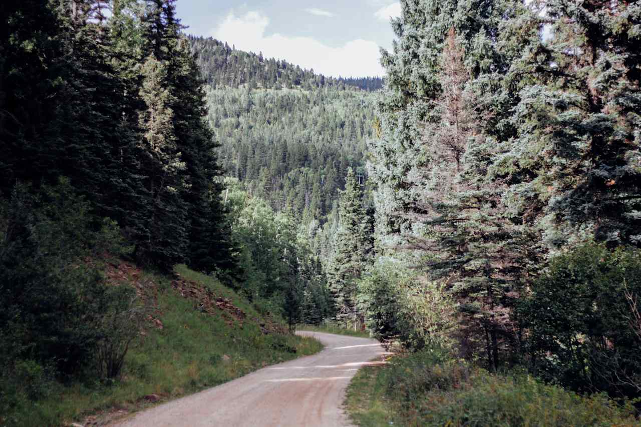 Forest Road 76. Mile 5.